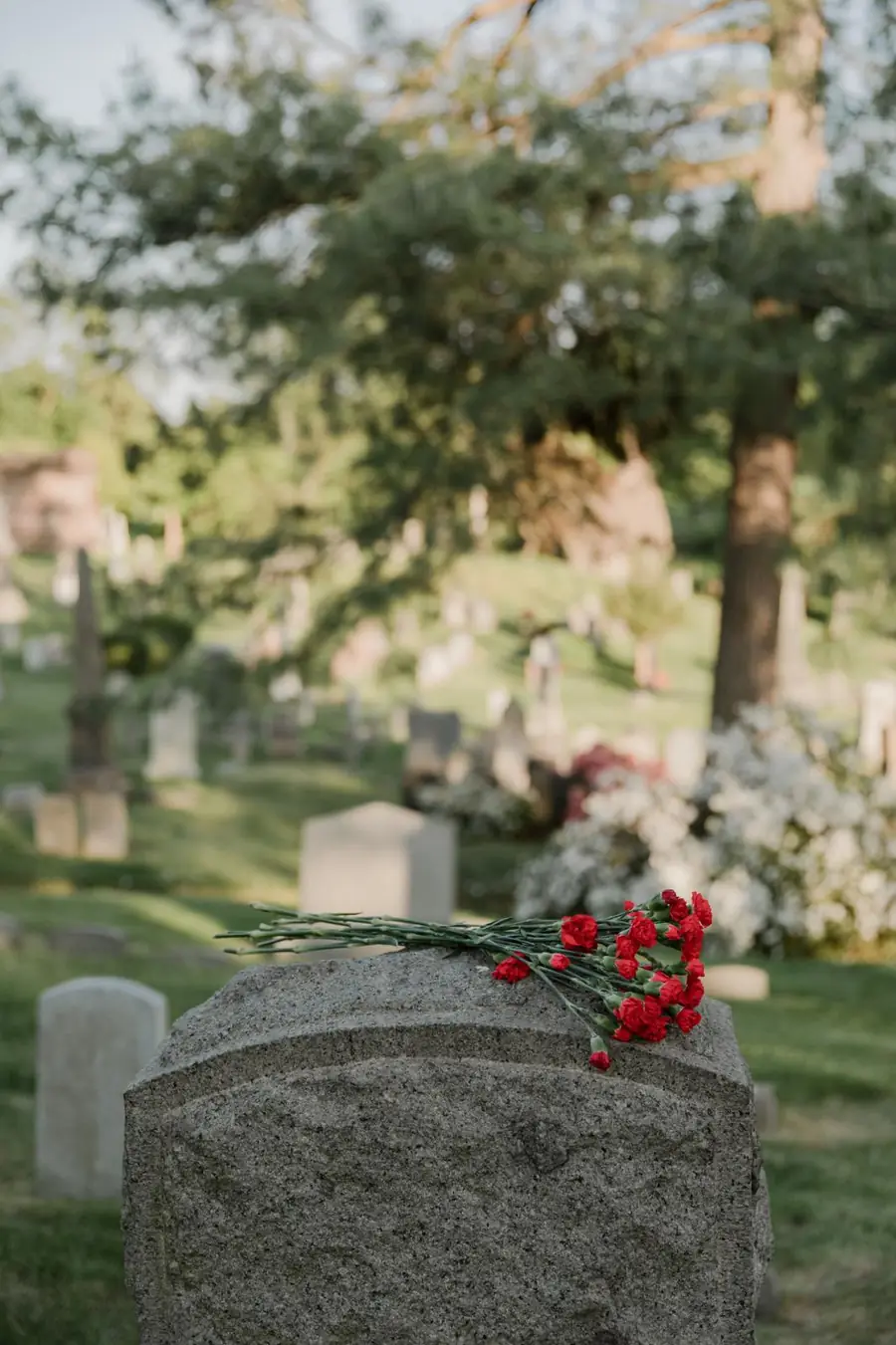 Red carnations resting on a granite headstone