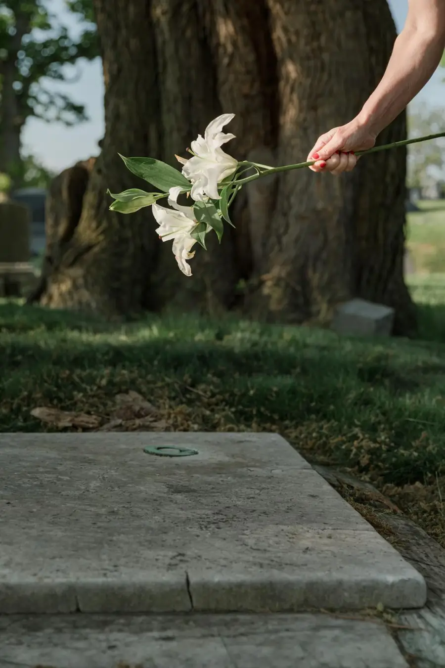 Hand laying white lilies near a flat grave marker
